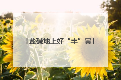 盐碱地上好“丰”景