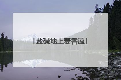 盐碱地上麦香溢