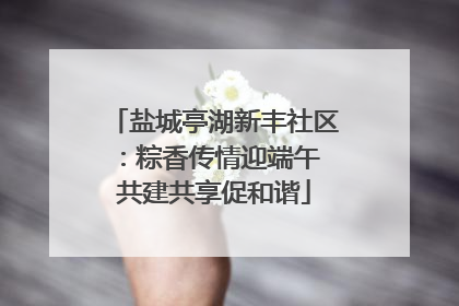 盐城亭湖新丰社区：粽香传情迎端午 共建共享促和谐