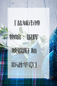 盐城市博物馆：银辉映端阳 釉彩谱华章
