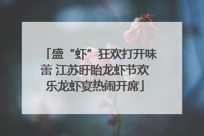 盛“虾”狂欢打开味蕾 江苏盱眙龙虾节欢乐龙虾宴热闹开席