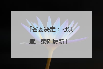 省委决定：刁洪斌、荣刚履新