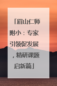 眉山仁师附小：专家引领促发展，精研课题启新篇