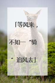 等风来，不如一“骑”追风去