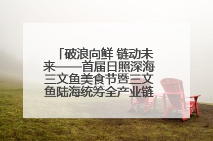 破浪向鲜 链动未来——首届日照深海三文鱼美食节暨三文鱼陆海统筹全产业链发展会议嘉宾访谈