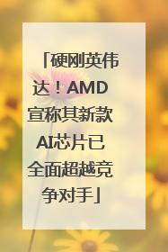 硬刚英伟达！AMD宣称其新款AI芯片已全面超越竞争对手