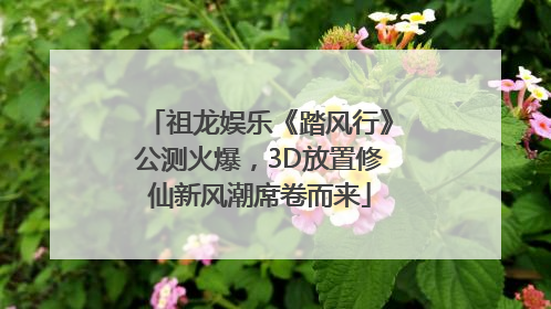 祖龙娱乐《踏风行》公测火爆，3D放置修仙新风潮席卷而来