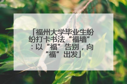 福州大学毕业生纷纷打卡书法“福墙”：以“福”告别，向“福”出发