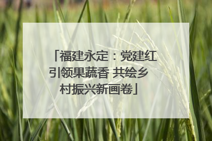 福建永定：党建红引领果蔬香 共绘乡村振兴新画卷