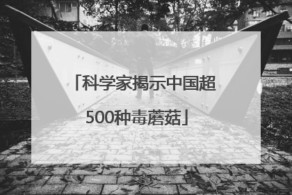 科学家揭示中国超500种毒蘑菇