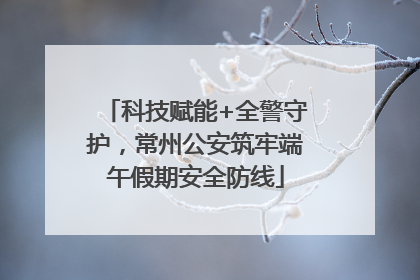 科技赋能+全警守护，常州公安筑牢端午假期安全防线