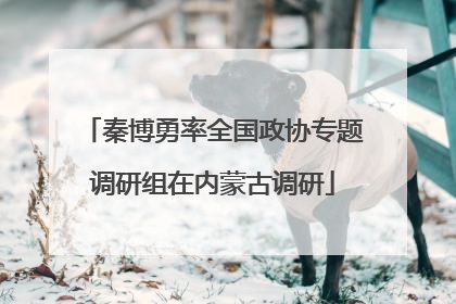秦博勇率全国政协专题调研组在内蒙古调研