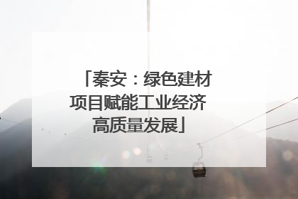 秦安：绿色建材项目赋能工业经济高质量发展