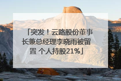 突发！云路股份董事长兼总经理李晓雨被留置 个人持股21%