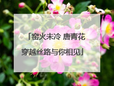 窑火未冷 唐青花穿越丝路与你相见