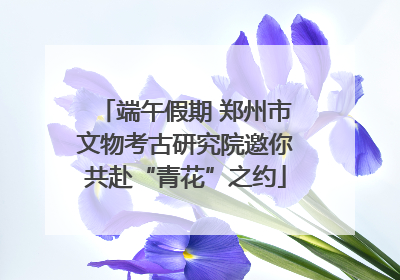 端午假期 郑州市文物考古研究院邀你共赴“青花”之约