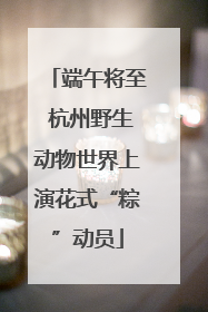 端午将至 杭州野生动物世界上演花式“粽”动员