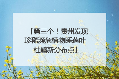 第三个！贵州发现珍稀濒危植物睡莲叶杜鹃新分布点
