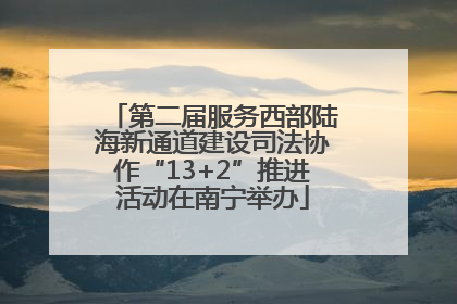 第二届服务西部陆海新通道建设司法协作“13+2”推进活动在南宁举办