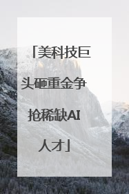 美科技巨头砸重金争抢稀缺AI人才