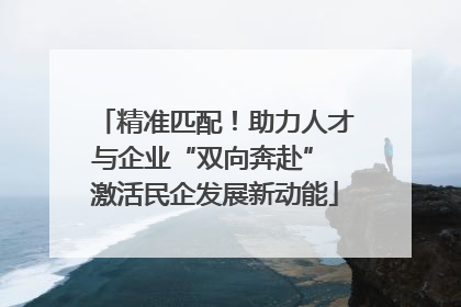 精准匹配！助力人才与企业“双向奔赴” 激活民企发展新动能