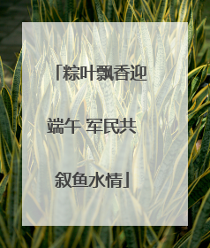 粽叶飘香迎端午 军民共叙鱼水情