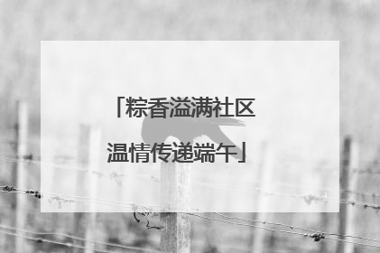 粽香溢满社区 温情传递端午