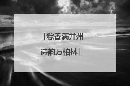 粽香满并州 诗韵万柏林