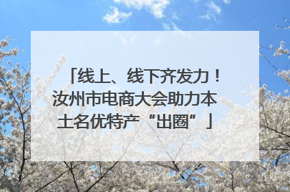 线上、线下齐发力！汝州市电商大会助力本土名优特产“出圈”