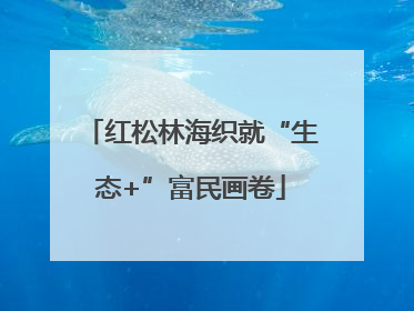 红松林海织就“生态+”富民画卷