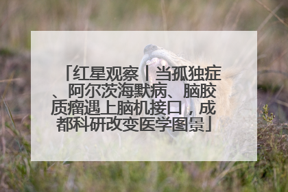 红星观察丨当孤独症、阿尔茨海默病、脑胶质瘤遇上脑机接口，成都科研改变医学图景