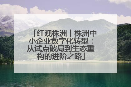 红观株洲丨株洲中小企业数字化转型：从试点破局到生态重构的进阶之路