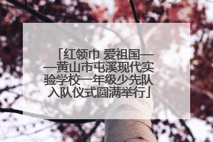 红领巾 爱祖国——黄山市屯溪现代实验学校一年级少先队入队仪式圆满举行