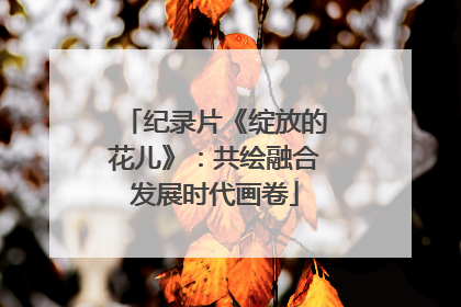 纪录片《绽放的花儿》：共绘融合发展时代画卷