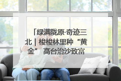 绿满陇原·奇迹三北｜梭梭林里种“黄金” 高台治沙致富很“从容”