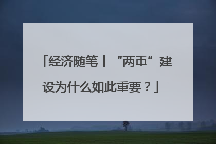 经济随笔丨“两重”建设为什么如此重要？