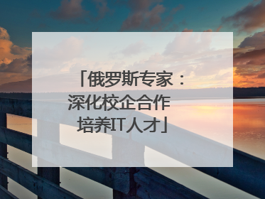 俄罗斯专家：深化校企合作 培养IT人才