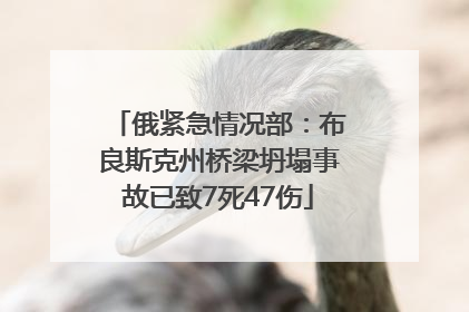 俄紧急情况部：布良斯克州桥梁坍塌事故已致7死47伤