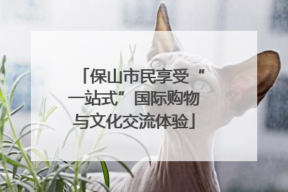 保山市民享受“一站式”国际购物与文化交流体验