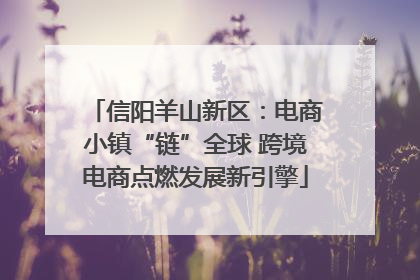 信阳羊山新区：电商小镇“链”全球 跨境电商点燃发展新引擎