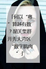 何以“粤”算越有数？韶关集群开秀大湾区“数字肌肉”