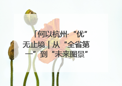何以杭州·“优”无止境｜从“全省第一”到“未来图景” 余杭加速航行
