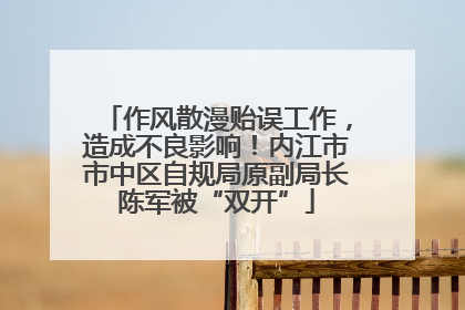 作风散漫贻误工作，造成不良影响！内江市市中区自规局原副局长陈军被“双开”