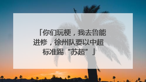 你们玩梗，我去鲁能进修，徐州队要以中超标准踢“苏超”