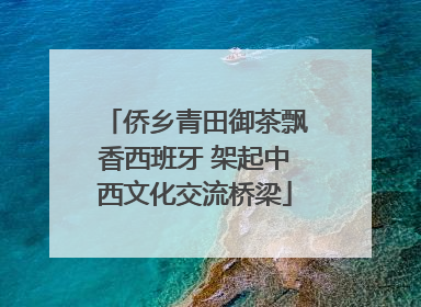 侨乡青田御茶飘香西班牙 架起中西文化交流桥梁