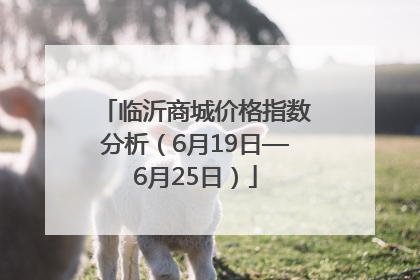 临沂商城价格指数分析（6月19日—6月25日）