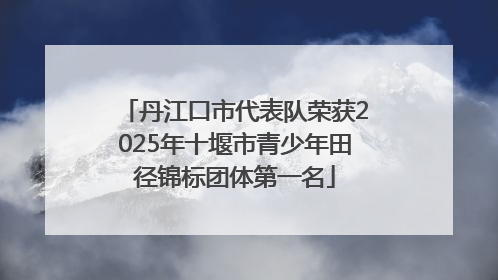 丹江口市代表队荣获2025年十堰市青少年田径锦标团体第一名