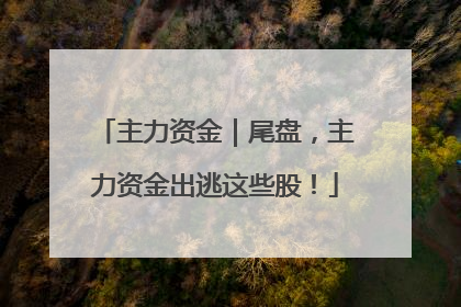 主力资金｜尾盘，主力资金出逃这些股！