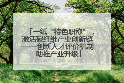一纸“特色职称”，激活碳纤维产业创新链——创新人才评价机制 助推产业升级