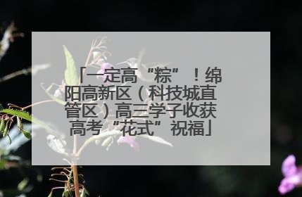 一定高“粽”！绵阳高新区（科技城直管区）高三学子收获高考“花式”祝福